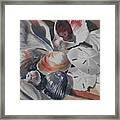 Shells And Sand Dollars Framed Print