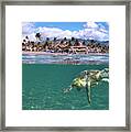 Sheraton Maui Framed Print