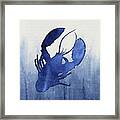 Shibori Blue 3 - Lobster Over Indigo Ombre Wash Framed Print