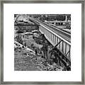 Shoofly At Lincoln And Addison Framed Print