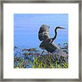 Shore Walk Framed Print