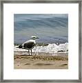 Shoreline Breeze Framed Print