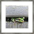 Shortcut To The Garden Framed Print