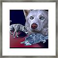 Siberian Husky - Modern Dog Art - 0002 Framed Print