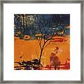 Sight Hound Framed Print