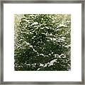 Silent Winter Framed Print