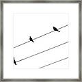 Silhouette Of Birds Sitting On Electric Cables Framed Print