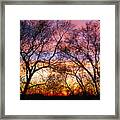 Silhouette Sunset 43017 Framed Print