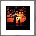 Silhouettes Framed Print