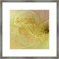 Silk Dream Framed Print