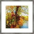 Simply Autumn Framed Print