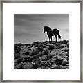 Simply Wild Framed Print