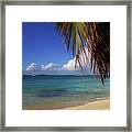 Simpson Bay Palm Tree Caribbean St Martin Framed Print