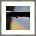 Single Drop Framed Print