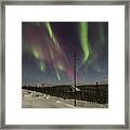 Single Sentry Aurora Framed Print