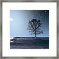 Single Tree In Moonlight Framed Print