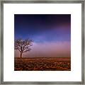 Single Tree In The Mississippi Delta Framed Print