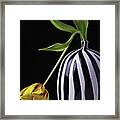 Single Tulip In Vase Framed Print