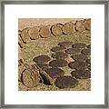 Skc 5527 Cowdung Cakes Framed Print