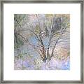 Sketch Of Halation Effect Through Trees Framed Print