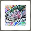 Sketch - Rainbow Trout Color Framed Print