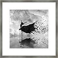 Sky Dancer - Black And White Framed Print