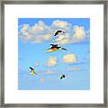 Sky Patrol Framed Print