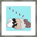 Sleeping Kitties Framed Print