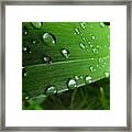 Slide Framed Print