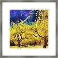 Slide Rock Apples Falling Framed Print