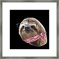 Sloth Black Glasses Red Scarf Sloths In Clothes Framed Print