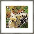 Slug Oh Framed Print