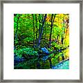 Small Creek Framed Print