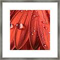 Small Water Drops Framed Print