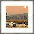 Smokey Elk Crossing Framed Print