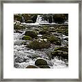 Smokies In The Spring Framed Print