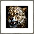 Snarl Framed Print