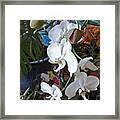 Sneaky Orchids Framed Print