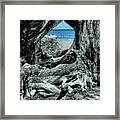 Snorkling In The Knothole Framed Print
