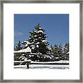 Snow And Sky 3 Framed Print
