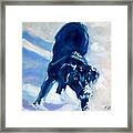 Snow Boy Framed Print