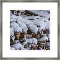 Snow Covered Firewood Framed Print