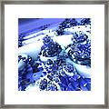 Snow Covered Fractal Framed Print