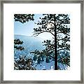 Snow-covered Trees Framed Print