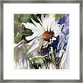 Snow Dance Framed Print