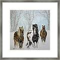 Snow Horses Framed Print