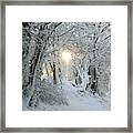 Snow Light Framed Print
