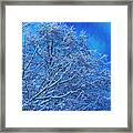 Snow On Branches Photo Art Framed Print