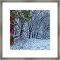 Snow Trees Framed Print