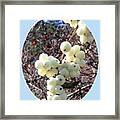 Snowberry Cluster Framed Print